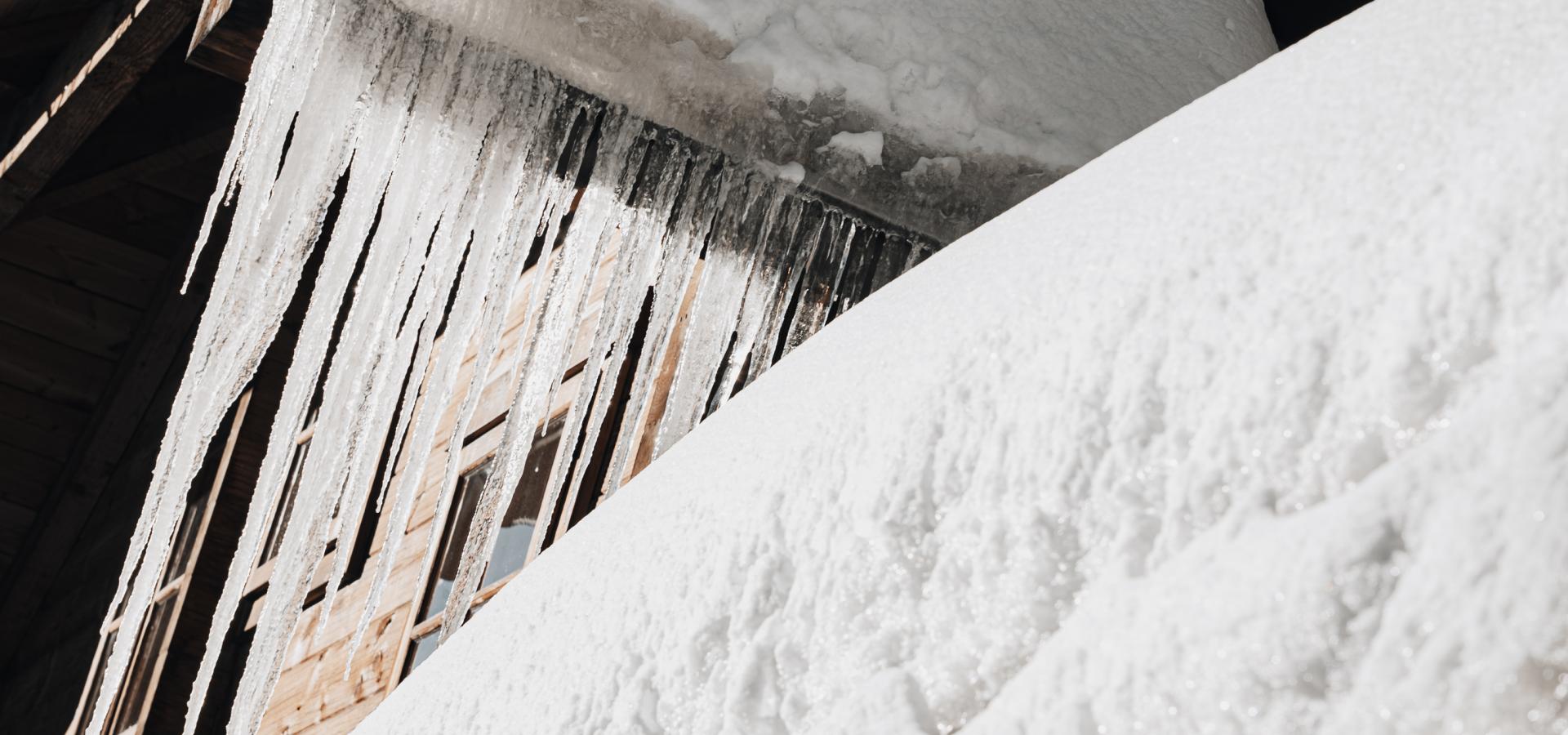 ©ManuelaWilpernig-05241 ©ManuelaWilpernig-05241